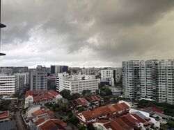 Bartley Vue (D19), Apartment #556799191